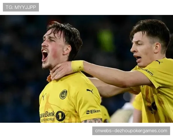 欧战资格关键战前瞻:弗赖堡与沃尔夫斯堡直接对话